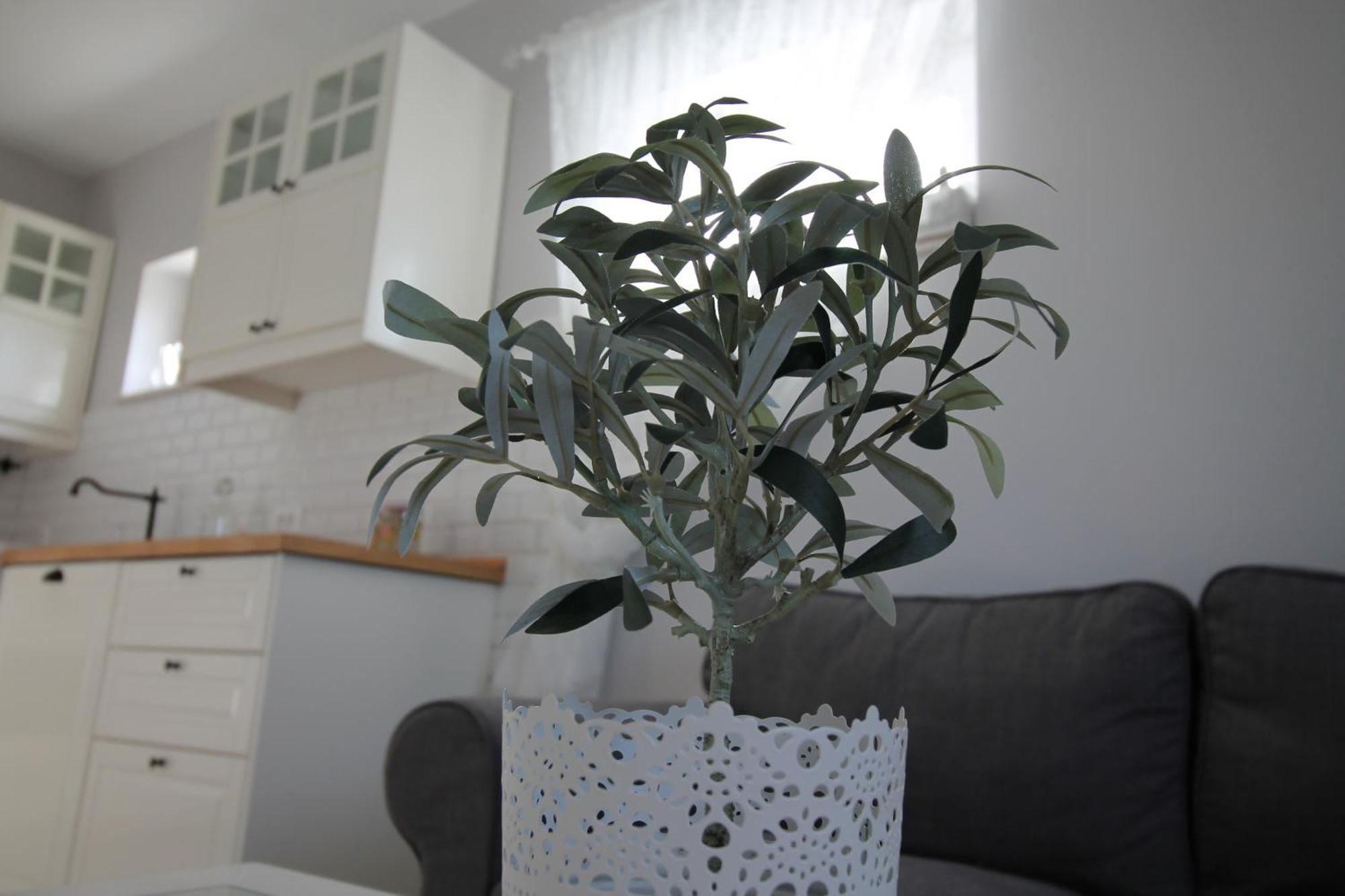 Apartments Tonka Trogir Phòng bức ảnh